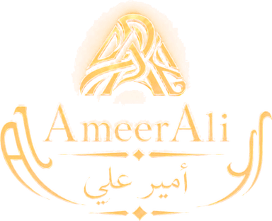 AmeerAli